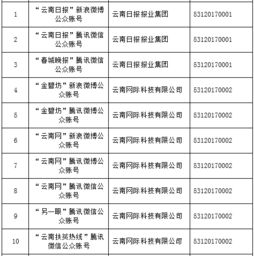 云南信息報(bào)旗下六產(chǎn)品獲首批互聯(lián)網(wǎng)新聞信息服務(wù)許可，賦能區(qū)域信息服務(wù)新格局